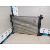 Радиатор основной Termal Duster 2012 5837626