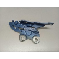 Петля капота левая BMW Countryman R60 (2010 - 2016) 51239805937