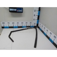 Уплотнитель стекла двери Hyundai-Kia i30 (2012 - 2017) 83540A6200