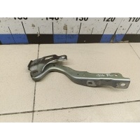 Петля капота левая Jaecoo J7 2023> 553000254AADYJ