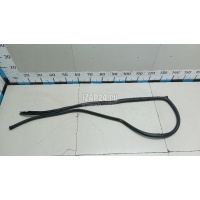 Уплотнитель двери Nissan Almera (G15) (2013 - 2018) 769244AA0B