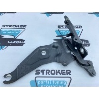 петля капота BMW X5 E70 2008 41007198618
