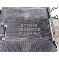 Радиатор кондиционера MAN TGX 2014 81619206041