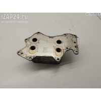 Теплообменник Audi A6 C6 Allroad (2006-2009) 2007 059117021J