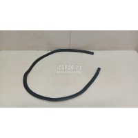 Уплотнитель двери Ford EcoSport 2013 1831856
