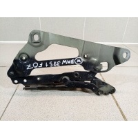 Петля капота правая BMW 5-Series F07 41617229636