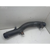 Патрубок интеркулера Opel Signum 2004 24456771