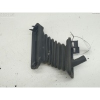 Гофра проводки двери Volkswagen Passat B6 2006 3C0959843A