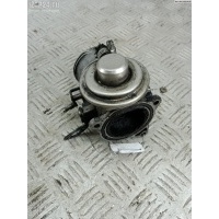 Клапан EGR (рециркуляции выхлопных газов) Volkswagen Passat B5+ (GP) 2002 038131501aa