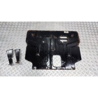 Защита двигателя Hyundai Palisade LX2 2020 X452