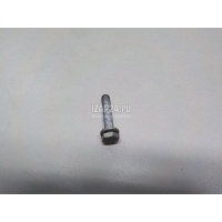 Болт BMW Countryman F60 2016 07119906123