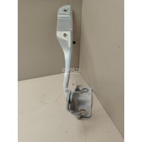 Петля капота правая Renault Arkana 2019 654000882R