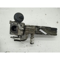 Охладитель отработанных газов Volkswagen Golf-5 2004 038131513AD