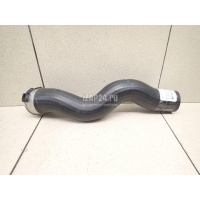 Патрубок интеркулера Ford Focus IV 2018 2239765