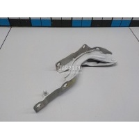 Петля капота левая Hyundai-Kia Sorento IV 2020 66910P2000