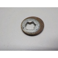 Шайба эксцентриковая (п.з.к) BMW 4-serie G22/G23 2020 33306786187