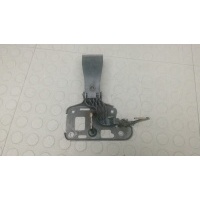 Замок капота AUDI A5 (2007) 2008 8T0823480