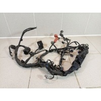 Проводка (коса) Geely Coolray 7010034700