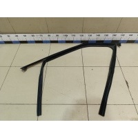 Уплотнитель стекла двери Jaecoo J7 2023> 554001648AA