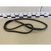 Уплотнитель двери NISSAN Note (E11) 2006-2013 808319U10A