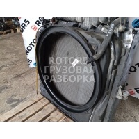 Радиатор (основной) MAN TGX 2014 81061010075