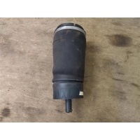 Пневмоподушка Land Rover Range Rover Sport L494 2019 DPLA5587AD, DPLA5587AD, LR052171
