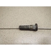 Шпилька колеса Ford Focus II (2005 - 2008) 1473166