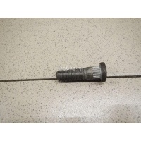Шпилька колеса Ford Focus II (2005 - 2008) 1473166