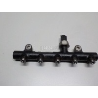 Рейка топливная (рампа) Citroen-Peugeot C4 (2005 - 2011) 1570L9