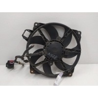 Вентилятор радиатора Renault Scenic III (2009-2012) 2011 214810898R