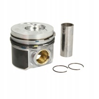 Mahle 028 21 00 поршень