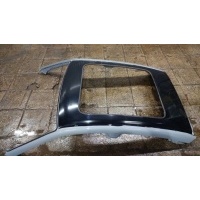 Крыша Geely Tugella FY11 2022 5070040800C15, 6600178710C15