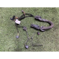 жгут проводки двери Volkswagen Touareg 7P5 2012 7p6971694f