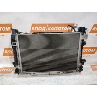 кассета радиаторов Mercedes-Benz B W245(2005-2008) 2008 A1695001803