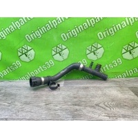 Патрубок Bmw 5-Series E39 Touring 2003 64218379982, 6421 8379982