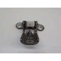 Петля двери Nissan Primera P11E (1996 - 2002) 824202F030
