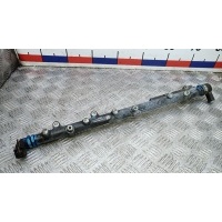 Топливная рампа дизельная BMW X5 (2003-2007) 2005 0445216008