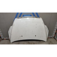 Капот Ford Focus 2 Ford 1521601 1521601