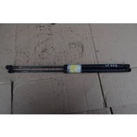 Амортизатор крышки багажника (3-5 двери) Ford Escort 5 1997 91ABA406A10B1E