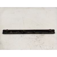 Накладка подсветки номера Volkswagen Multivan T4 1997 701829213D