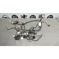 Проводка двери Mercedes E/W211 2002-2009 A2115400406, A2115408508