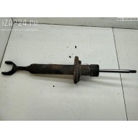 Амортизатор подвески передний левый Volkswagen Passat B5+ (GP) 2001 3B0413031