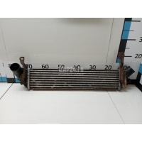 Интеркулер Renault Kangoo (2003 - 2008) 8200732384