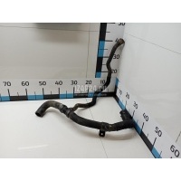 Шланг системы охлаждения Renault Kangoo (2003 - 2008) 8200331306