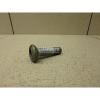 Болт передней ступицы VAG Caddy III (2004 - 2015) 8E0407643A