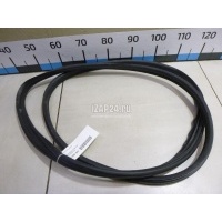 Уплотнитель двери Renault Megane II (2003 - 2009) 8200077500