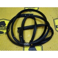 Уплотнитель на дверь Nissan Qashqai J11 2018 808304EA1E