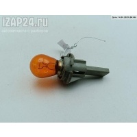 Патрон лампы фонаря Volkswagen Passat B5+ (GP) 2002 3B9945257C