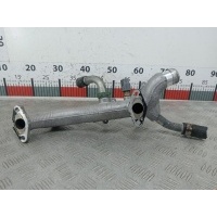 Трубка системы охлаждения Renault Vel_Satis (2001-2009) 2008 ,7701069668