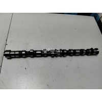 Распредвал Hyundai-Kia Elantra (2000 - 2010) 2410027000
